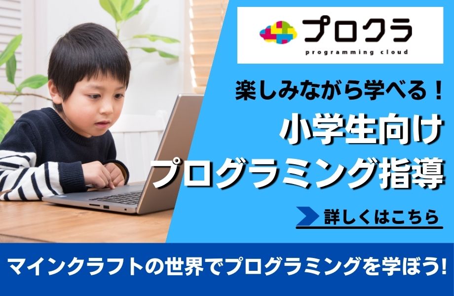 プログラミング指導